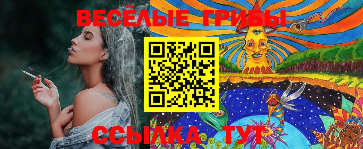 Псилоцибиновые грибы GOLDEN TEACHER Донской