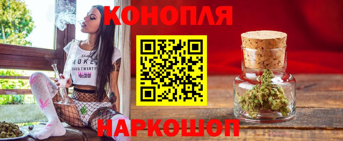 Каннабис план Донской